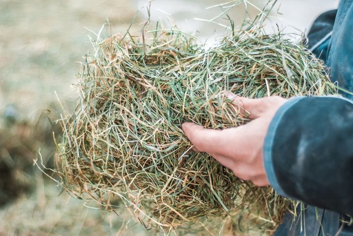 Hösilage | Grovfoder | Trikem Academy